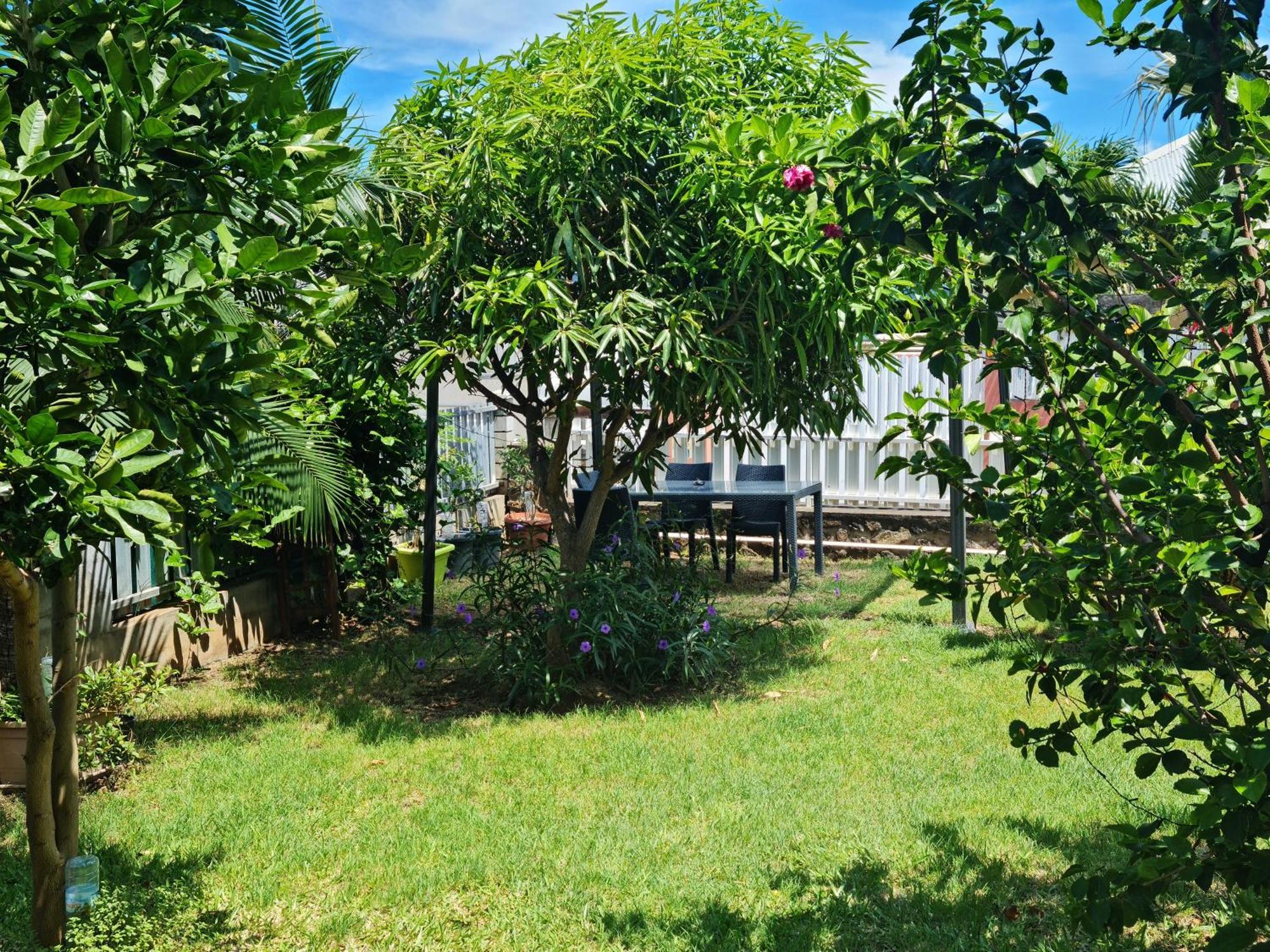 Zoizo Vert - Studio Au Calme Avec Jardin - St Leu Saint-Leu Luaran gambar